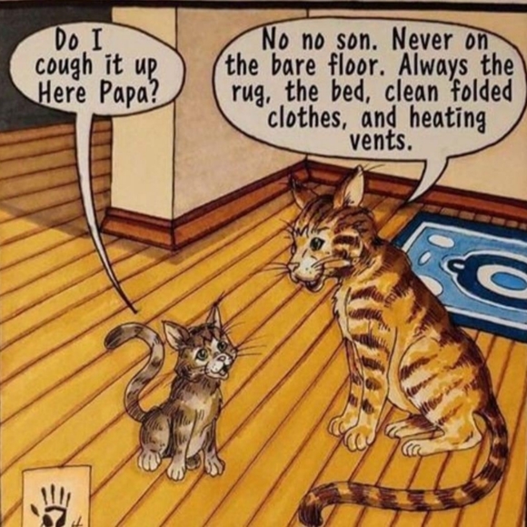 Meet your Posher, Catmam58 - Picture 14 of 16